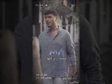 انتي ياليدي ليدي ليدي مابعدك نااار الشامي 2025 ابراهيم فانز الشامي جيناك ياليل ويالعين كواليس