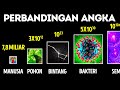 Perbandingan Angka Sangat Besar (dan Maknanya)