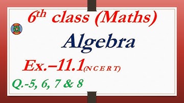6th Class maths NCERT Exercise 11.1 Q 5 to 8, Algebra