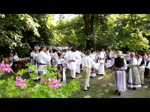Adi Jurca si Florin Ionas - Generalul - Mandrele ,nepoatele HD