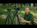 Wildlife filmmaking with panasonic gh6  s5 ii english subtitles