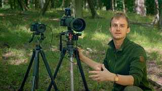 Wildlife filmmaking with Panasonic GH6 &amp; S5 II [English subtitles]