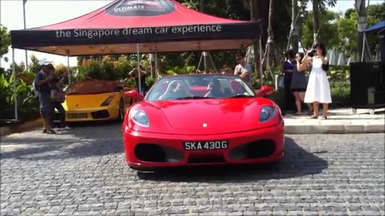 My Dad's Birthday Surprise!