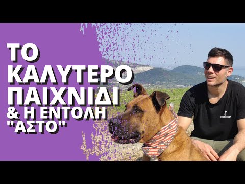 Βίντεο: Dog Fevers: Πώς να πει εάν το σκυλί σας έχει πυρετό και πώς να το αντιμετωπίσει