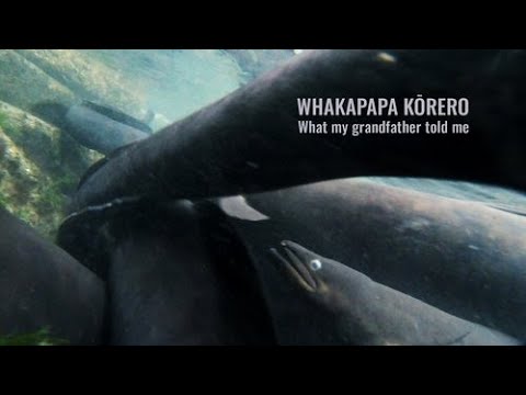 Whakapapa Kōrero: What my grandfather told me