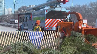 Christmas tree recycling starts Saturday at 26 Chicago parks