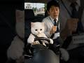 しーちゃんは免許証を取れるのか？🚗🐱 #ai猫 #cat #しーちゃん