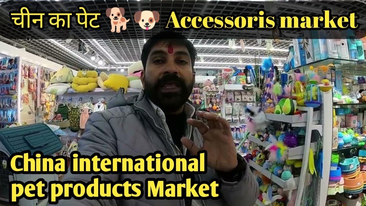 Pet Supplies in Yiwu Wholesale Market | Dog Accessories Wholesale Market China | Yiwu Pet market |
