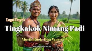 TINGKAKOK NIMANG PADI || LAGU DAYAK [ROCK DUA WARNA}