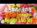 百万本のバラの花 ・久保田早紀 cover  hs2903  "Миллион алых роз" Japanese Popular Songs