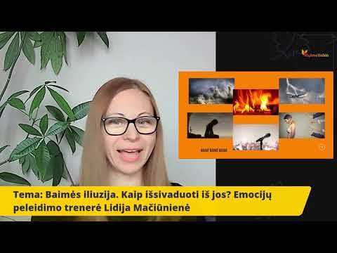 Video: „Railgun“įkroviklis