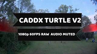 CADDX TURTLE V2 RAW - IMPULSE RC MICRO ALIEN - FLIGHT FOOTAGE
