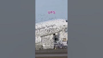 UPS Pilot IGNORES Bird Strike Warning 😱