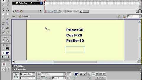 Flash Tutorial variables.wmv