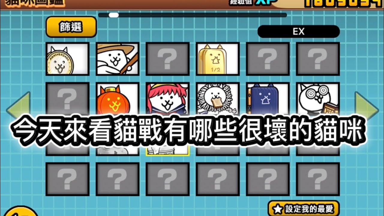 盤點貓戰很壞的貓咪（純屬個人觀點）