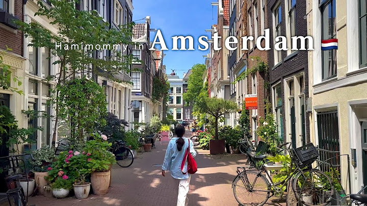 5 Days in the Netherlands 🇳🇱 | Amsterdam Cafes, Local Food & Villages | Cozy Travel Vlog | ASMR
