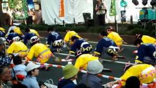 第28回仙台・青葉まつり 藤崎すずめ連
