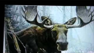 Robert Bateman Interview 1981