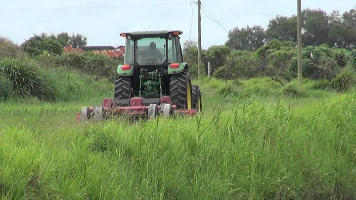 Economic Driver of Florida Citrus Industry - Steve...