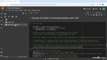 2. Review NLP and Python Basics 2.3   Solution Build a processing pipeline 2024.