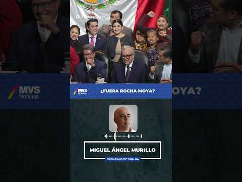 ¿Fuera Rocha Moya?
