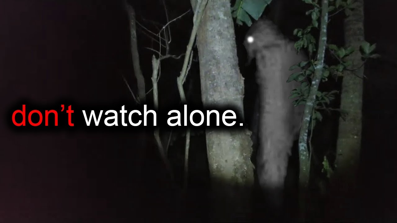 SCARY Camping Encounters That Will BREAK Your SANITY!