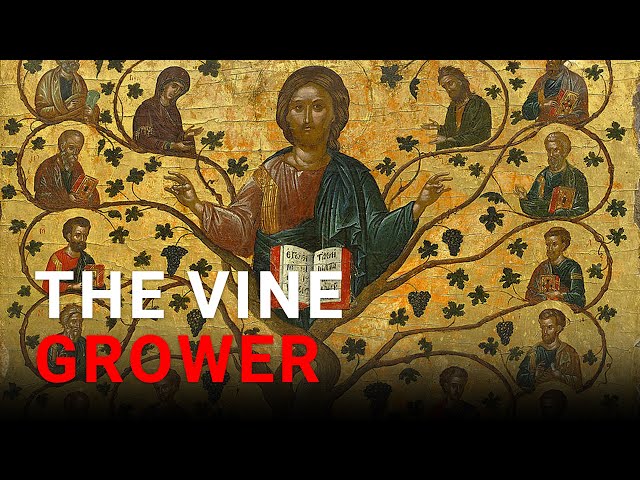 Daily IVE Homilies, April 28 2024 - The Vine Grower