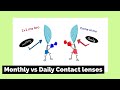 Daily and Monthly contacts what is best? | Optometrist explains