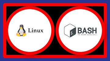 What is the difference between executing a Bash script vs sourcing it?