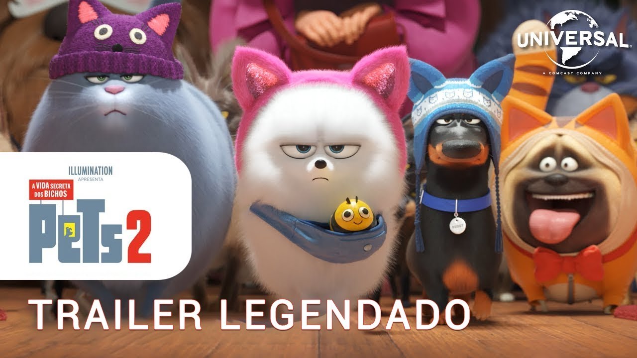 10 filmes sobre animais para você assistir com seu pet na Netflix