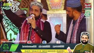 piyo di halla sheri sharbna den di |Qari Shahid Mehmood