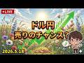 【FX ライブ 配信】ドル円 売りのチャンス？　#376