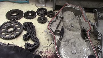 This cat landed on its back