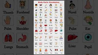 50 Body Parts Name in English with Image | Body Parts Name for Kids | Body ke angon ke naam