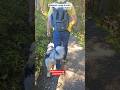Simbaрџђ Switzerland 2025 Puppy Travel Youtubeshorts Pets Doggielife Paris Simbaрџђ Switzerland 2025 Puppy Travel Youtubeshorts Pets Doggielife Paris