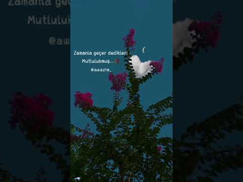 En güzel kürtçe kısa şarkı whatsapp durum videoları aşk ve duygusal kürtçe 1