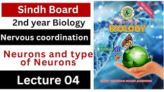 neurons and types of neurons || nervous coordination class 12 biology Sindh board New book