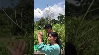 Tutorial Video Dari Kementerian Desa Pdtt