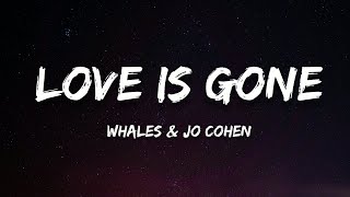 Download Lagu Whales \u0026 Jo Cohen - Love Is Gone (Lyrics) MP3