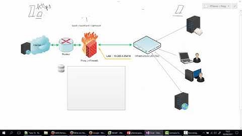 20 - Le Service Squid