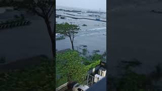 Evening Time OMR #rain #michaung #cyclone #shorts #short #shortvideo #shortsvideo #shortsviral #omr