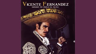 Video thumbnail of "Vicente Fernández - La Costumbre"