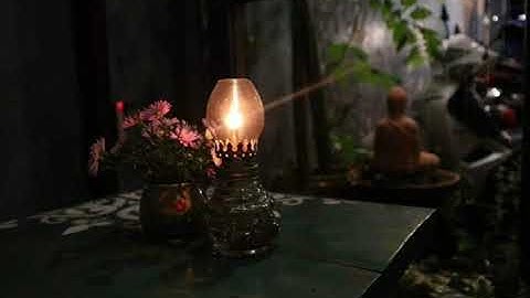 Truyện ngắn: Nửa mùa_Nguyễn Ngọc Tư_Ngọc Sen Voice 04