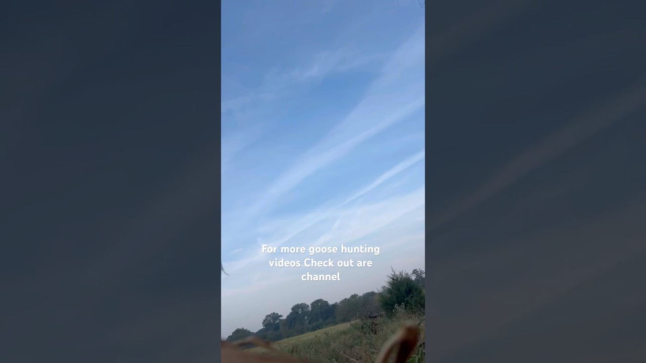 To watch full hunting video check out are channel 