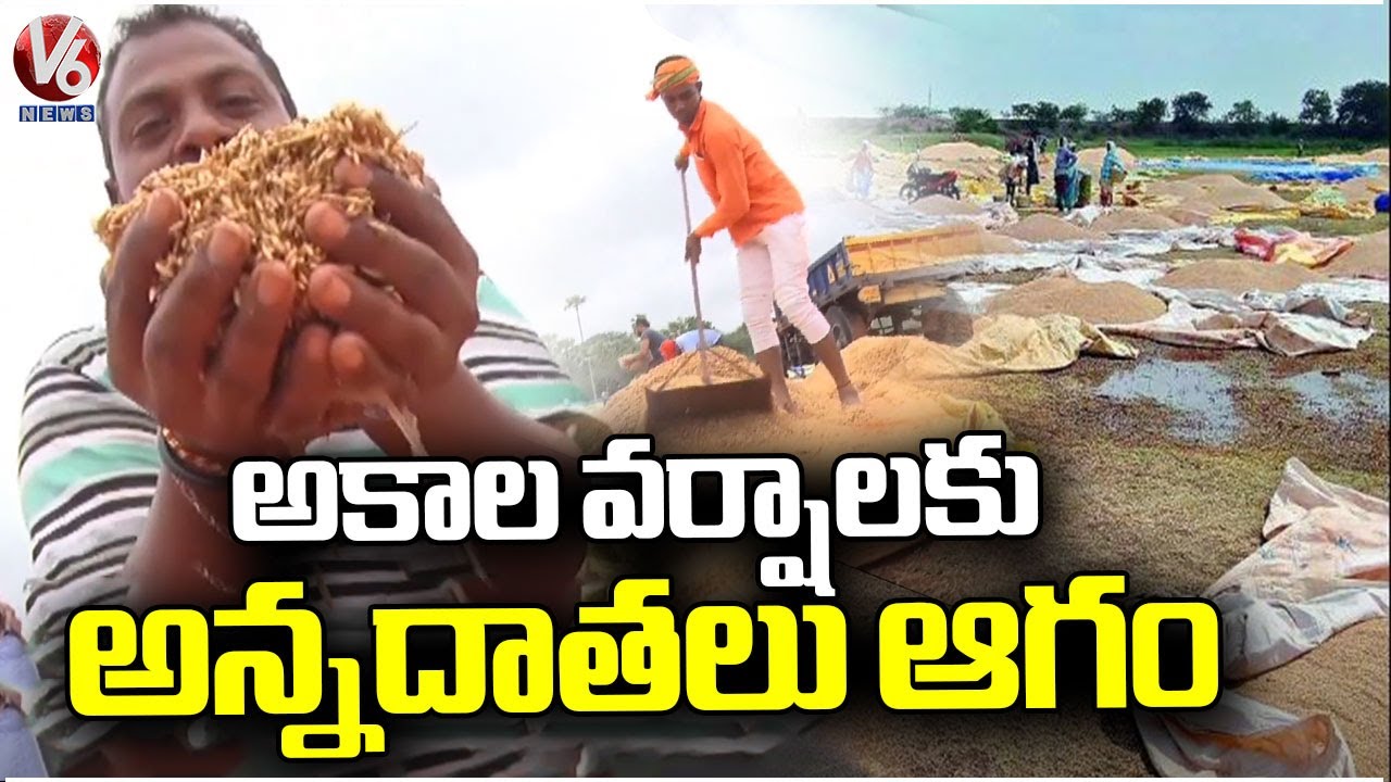 Farmers Face Huge Losses Due To Sudden Rains | Telangana Rains | V6 ...
