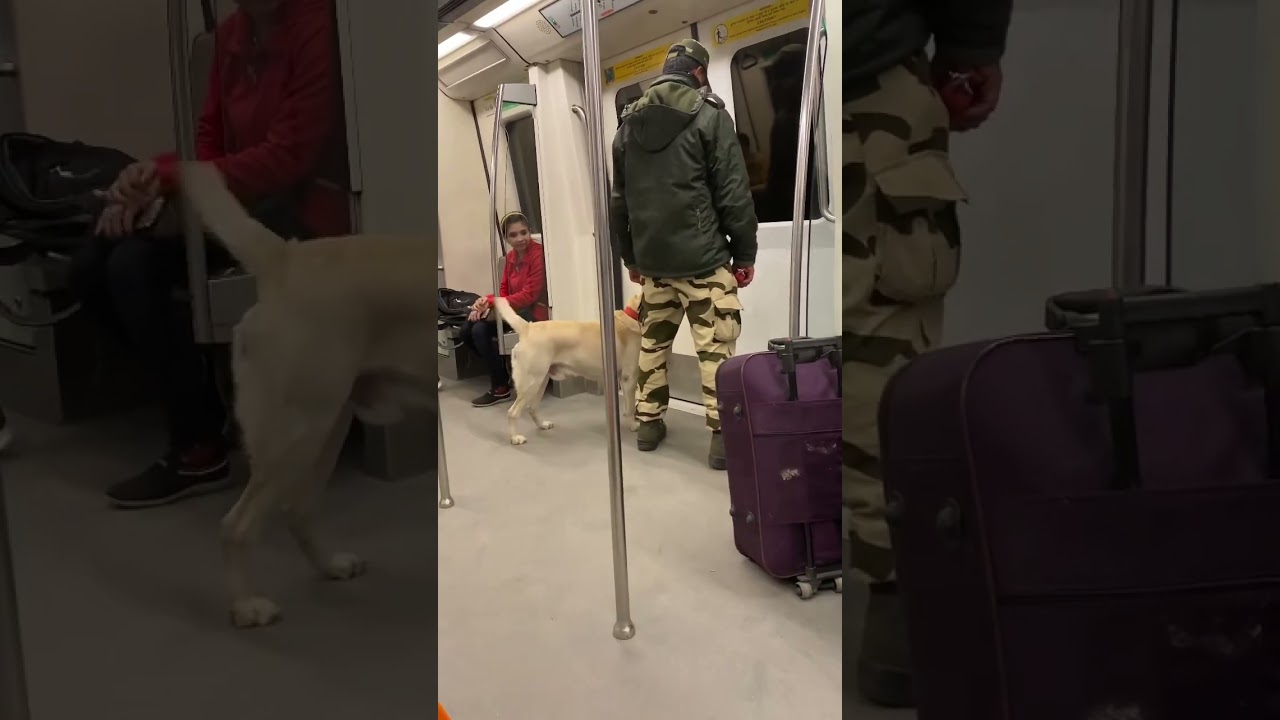 Delhi Metro  Highlavel security  