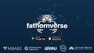 Dive into FathomVerse