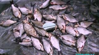 киевское море