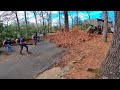 Two years of leaves and debris surprised customer with complete backyard cleanup 9 guys 2 hours