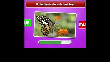 Animal Myths Busted- or Confirmed? True or False Quiz 12